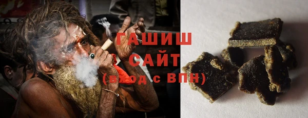 крисы Сатка