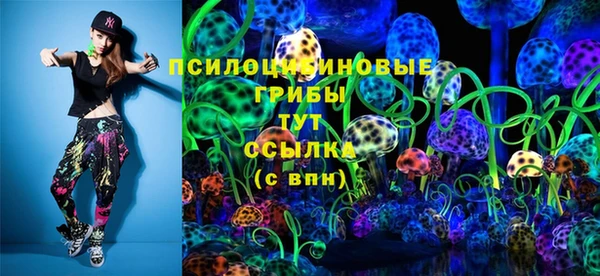 крисы Сатка