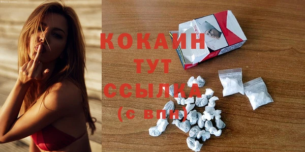 крисы Сатка