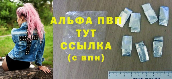крисы Сатка
