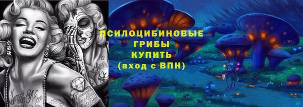 гашик Зеленодольск